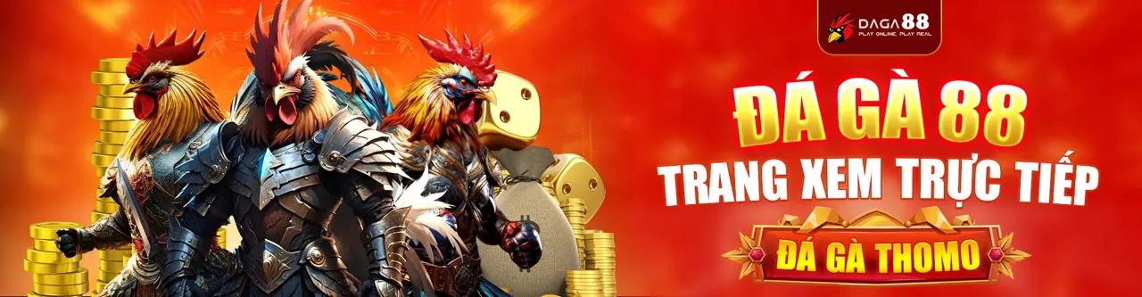 Đá gà trực tuyến Mana88 - Trận đấu kịch tính